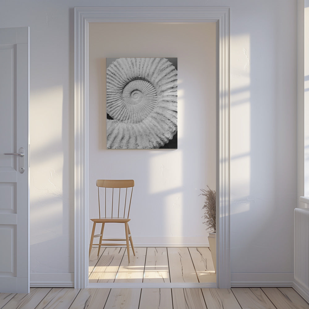 Oude spiraaldromen | Canvas