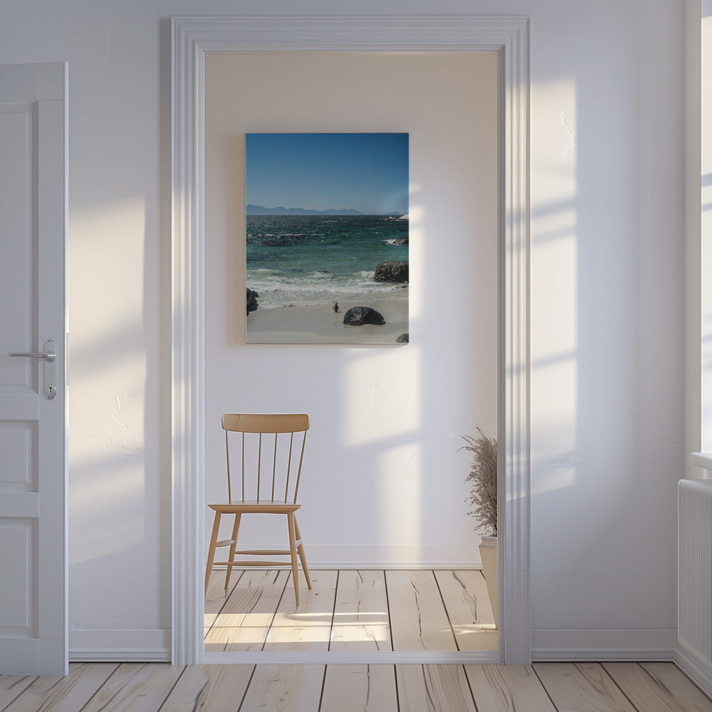 Pinguïnstrandwandeling | Canvas