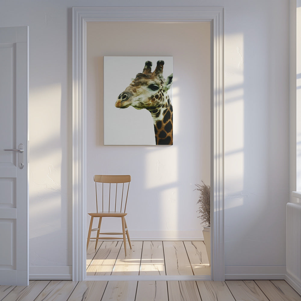 De sierlijke blik van de giraf | Canvas
