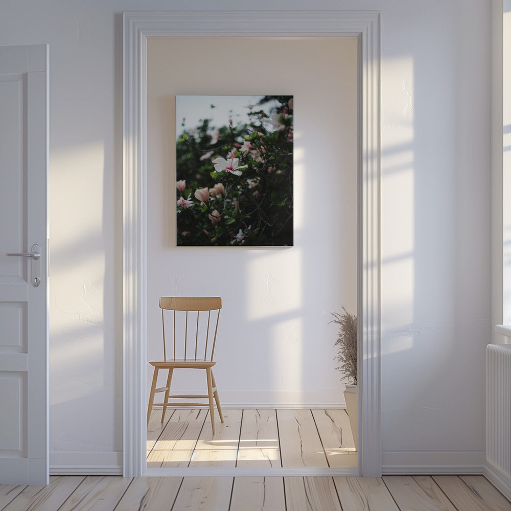 Bloeiende bloesems | Canvas