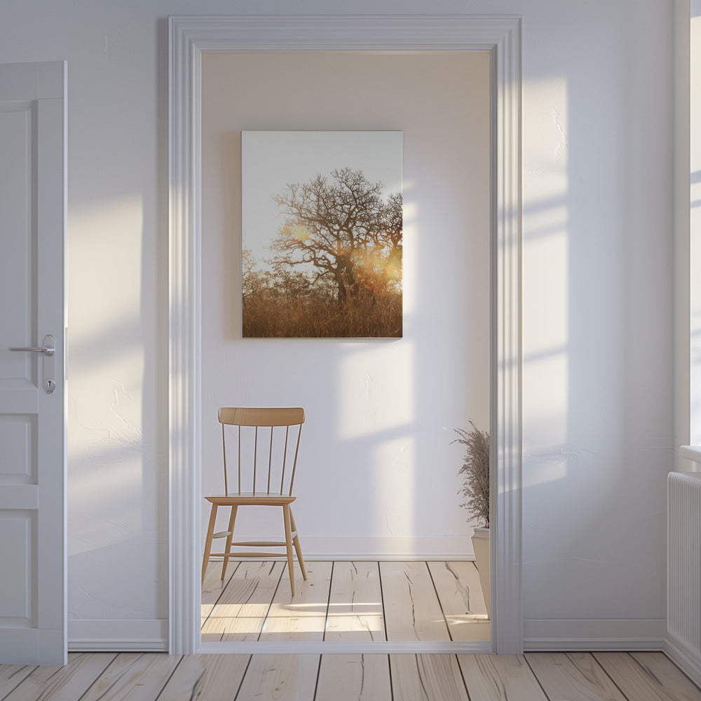 Zonovergoten silhouet | Canvas