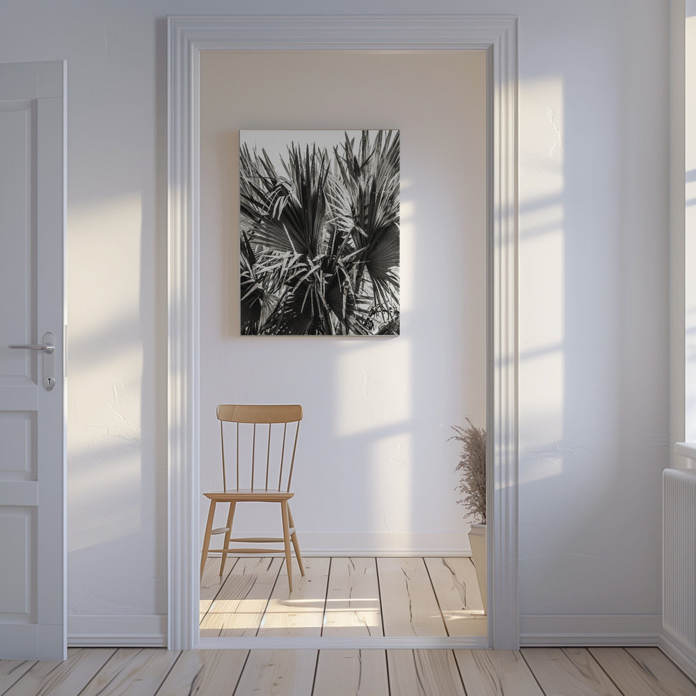 Spiky Serenity | Canvas