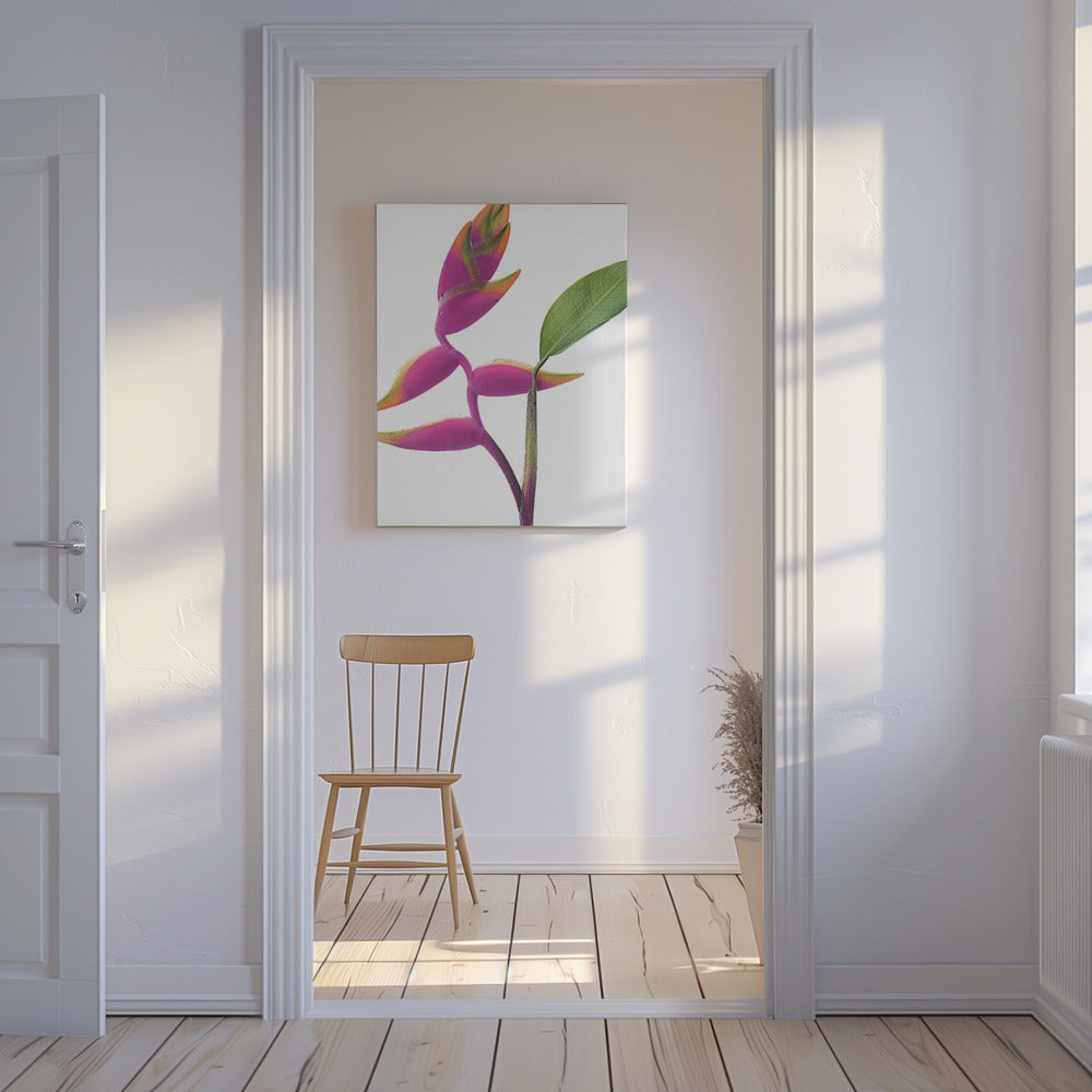 Tropische elegantie | Canvas