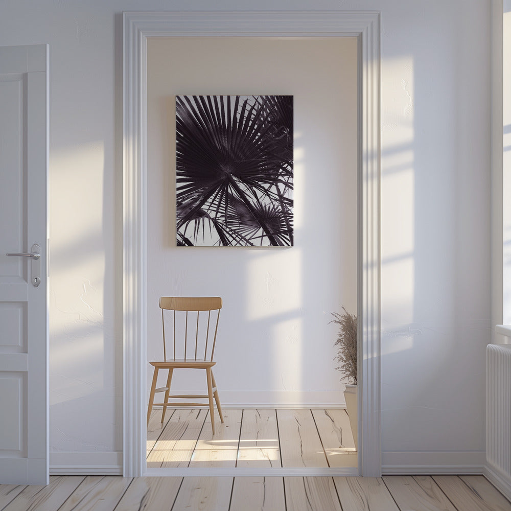 Palm silhouet | Canvas