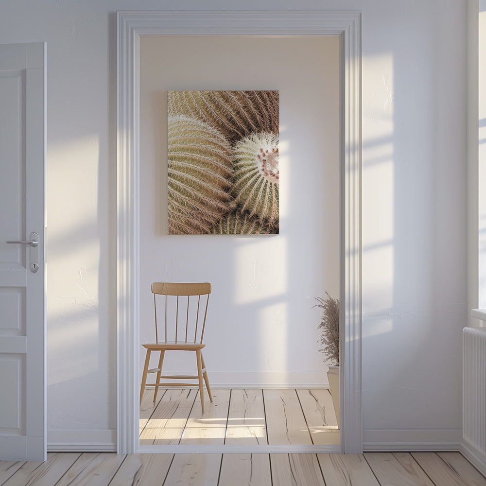 Spiral of Spines | Canvas
