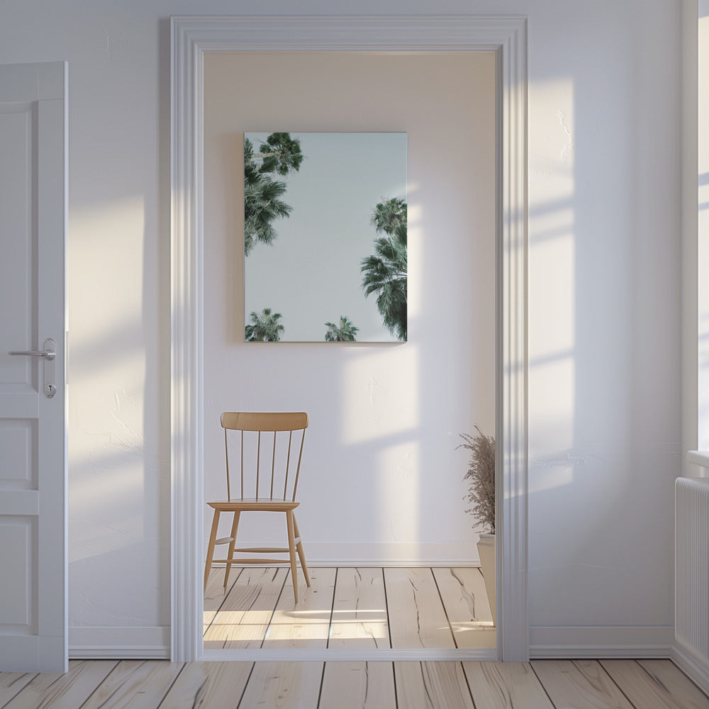 Palmboom Sereniteit | Canvas