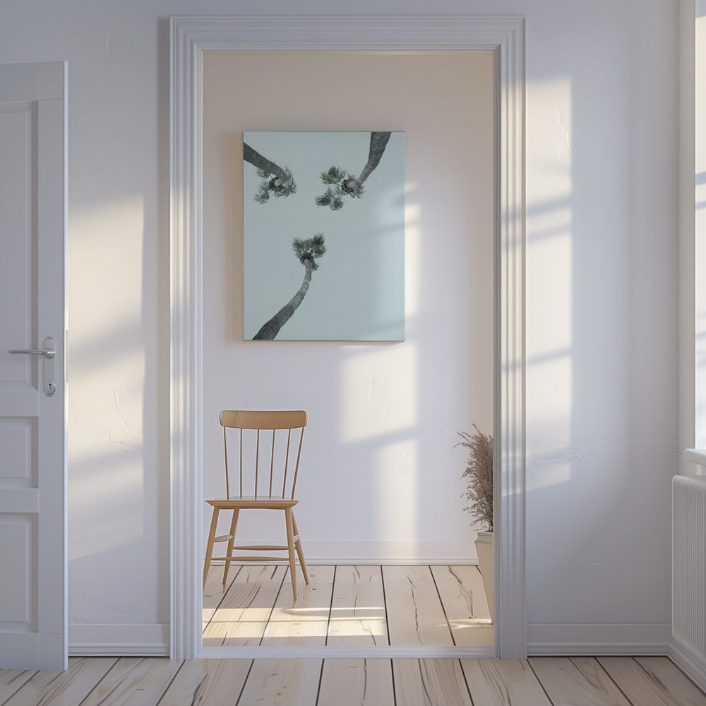 Skyward Palms | Canvas