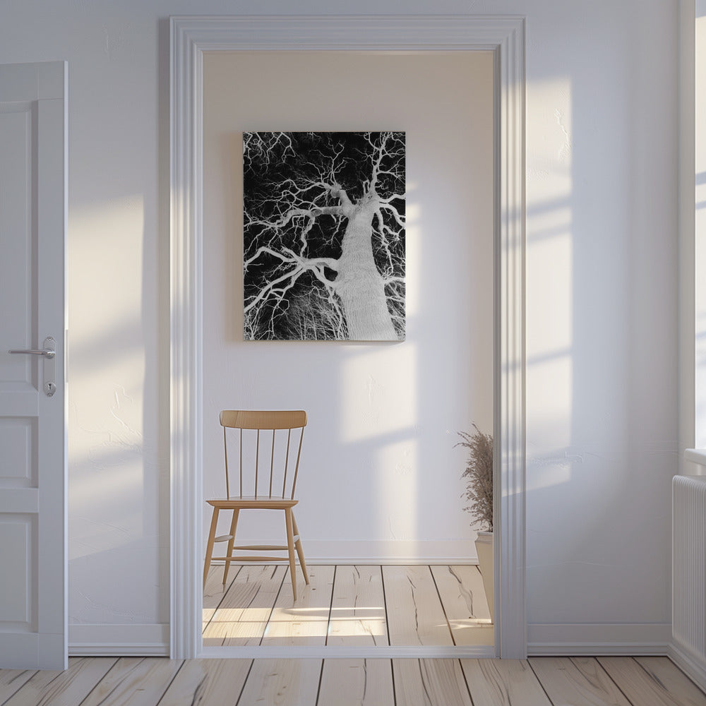 Omgekeerde Arbor Essence | Canvas