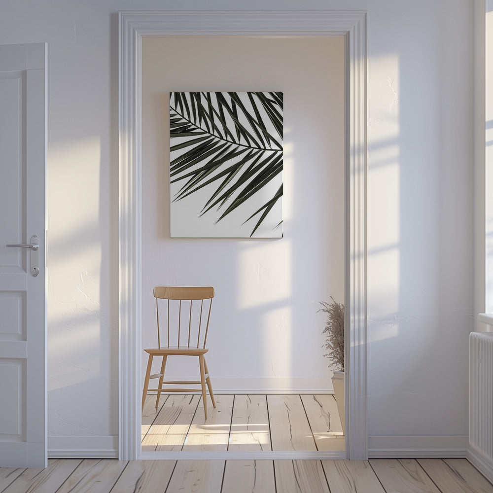 Schaduwen van varens | Canvas