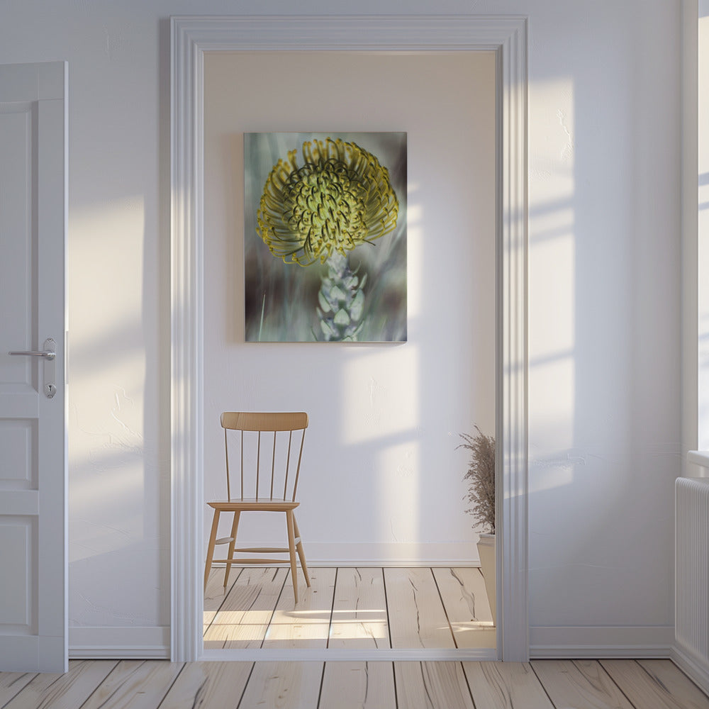 Gouden Bloesem Uitbarsting | Canvas