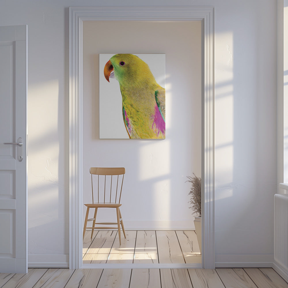 Levendig papegaaienprofiel | Canvas
