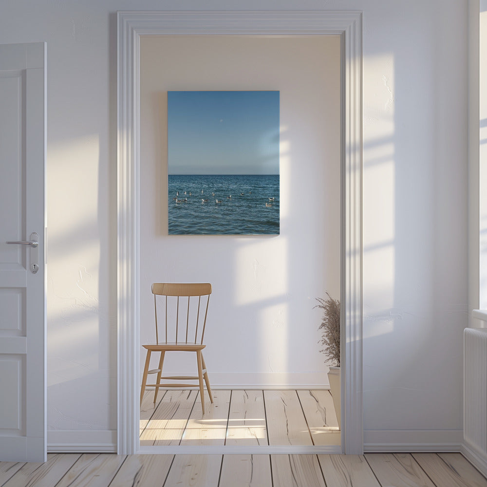 Moonlit Seabirds | Canvas