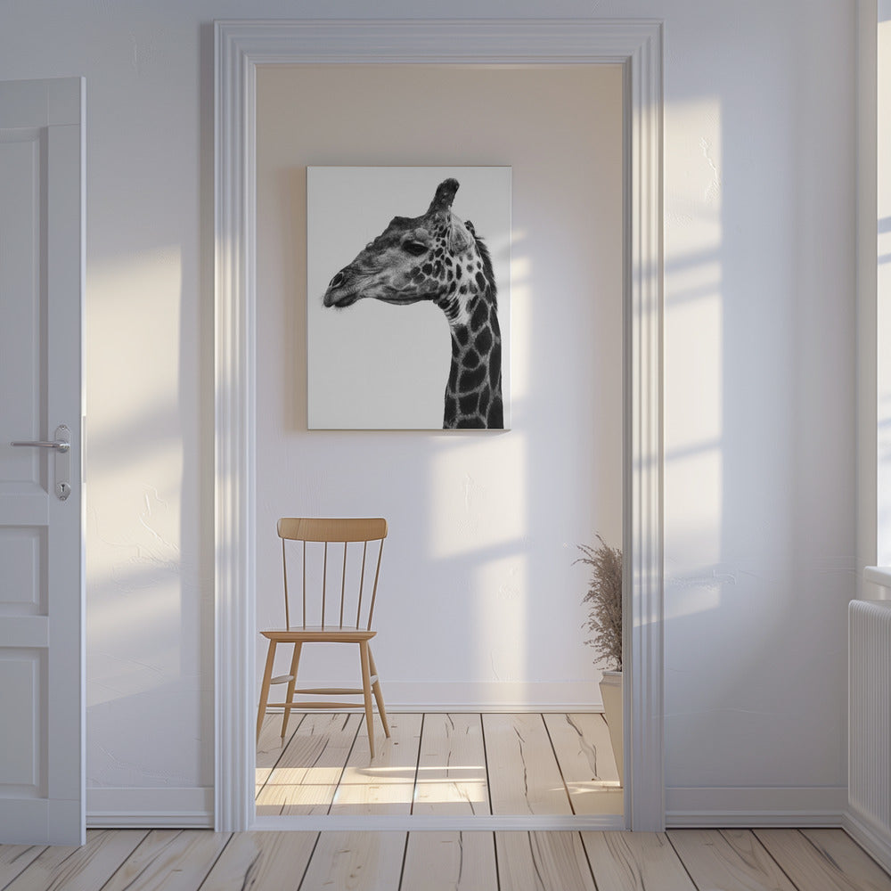 Intricate Patterns Of A Giraffe's Skin | Canvas