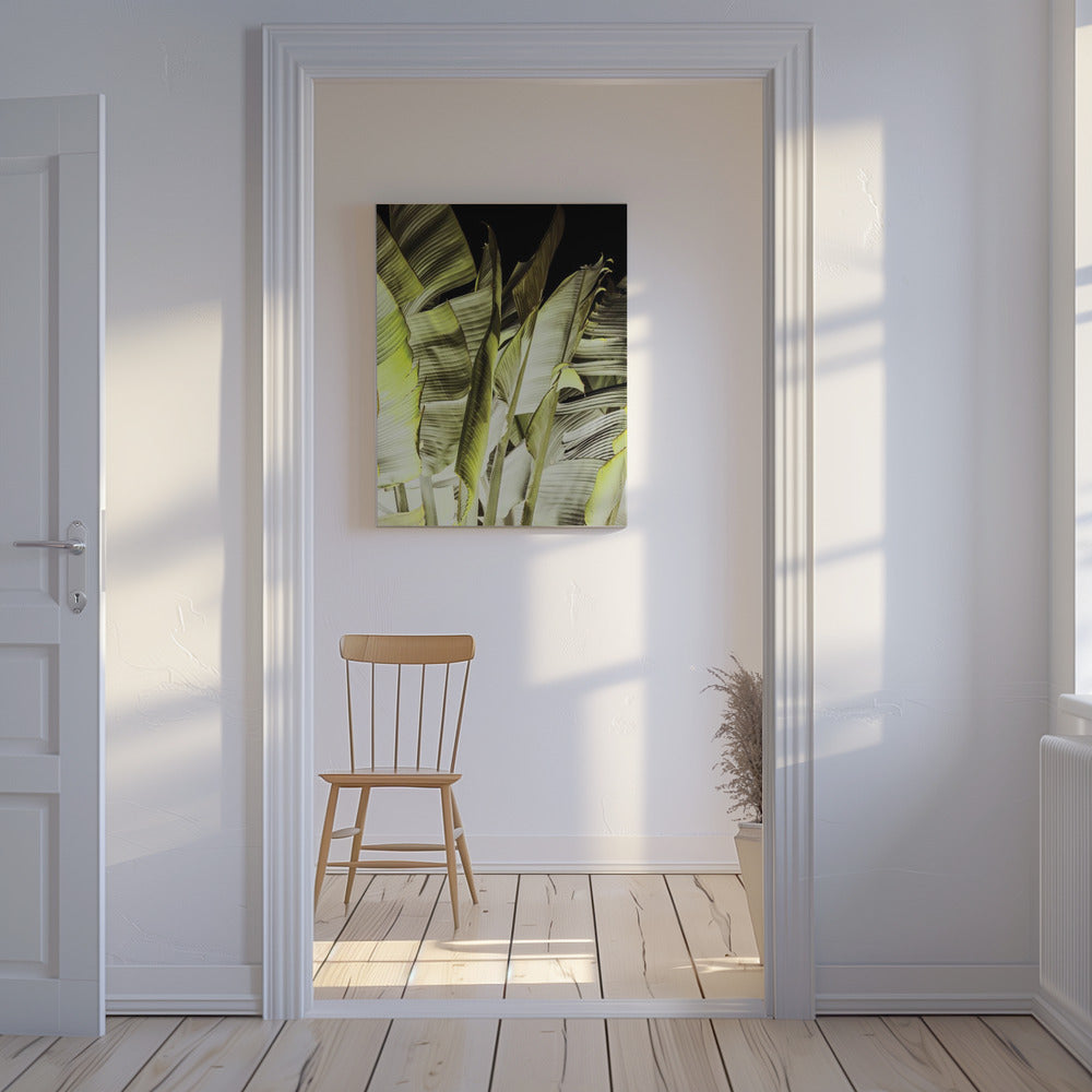 Banana Leaves In Soft Lighting | Canvas