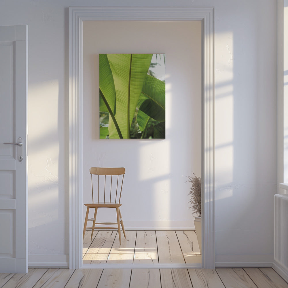 Tropische bananenbladeren | Canvas