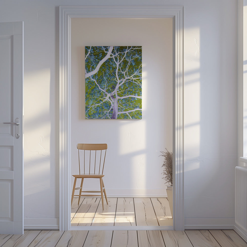 Surreal Branches | Canvas