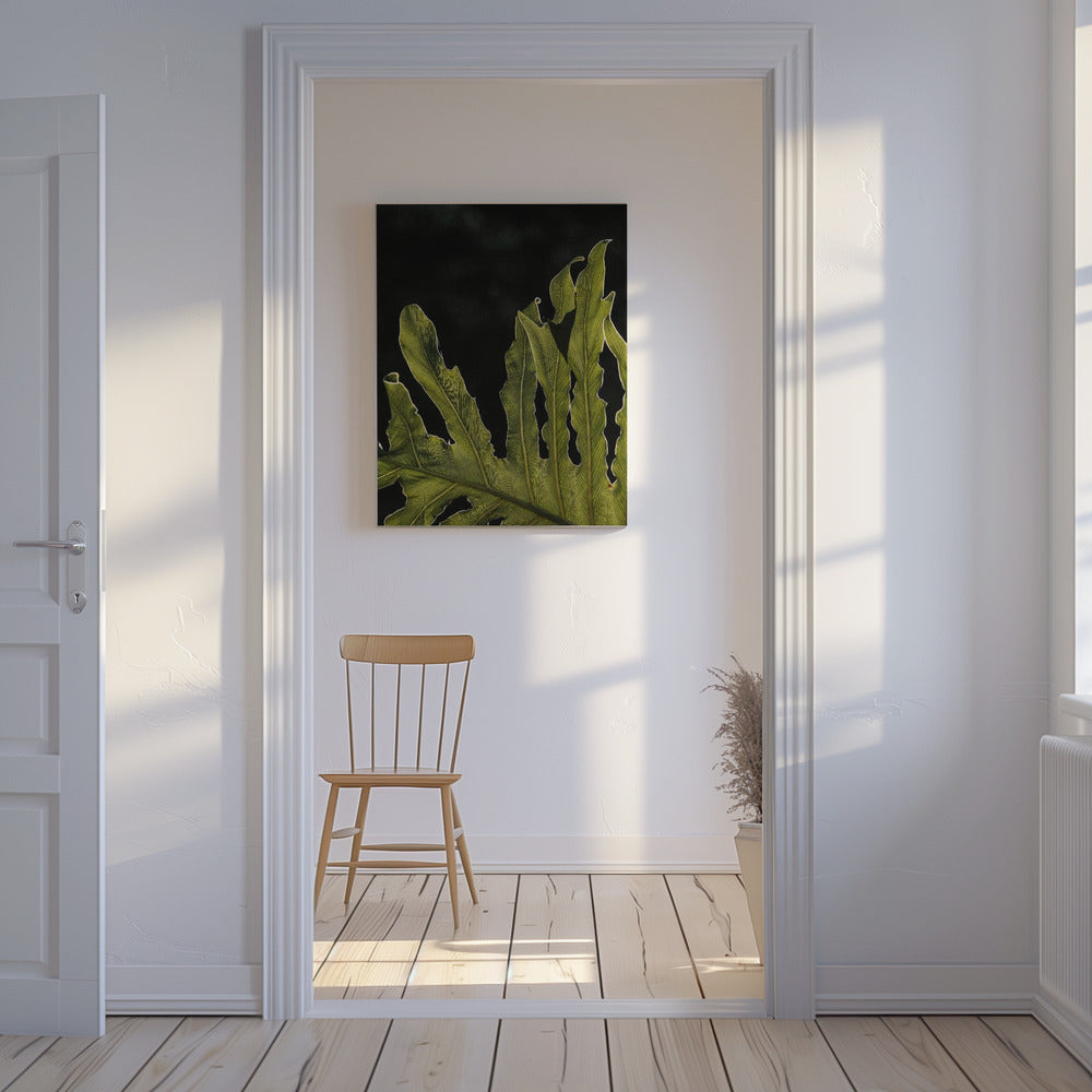 Leafy Silhouette | Canvas