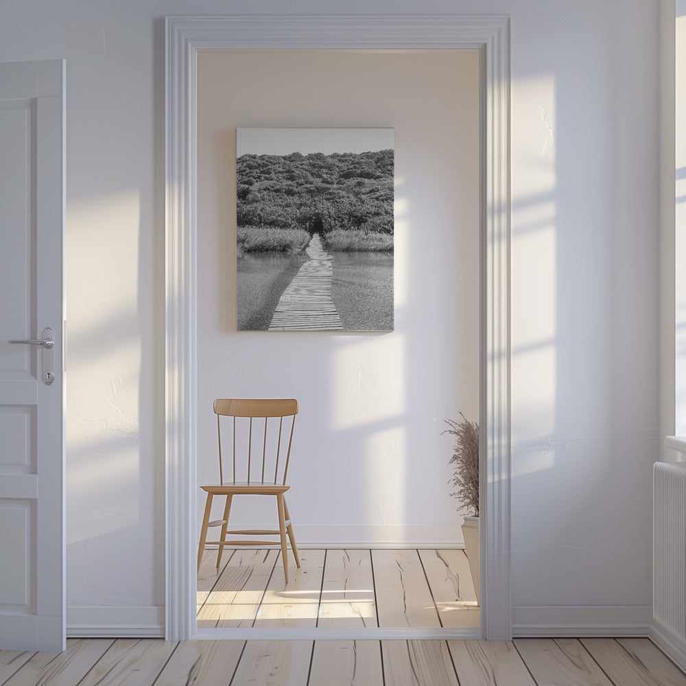 Welkom in de jungle | Canvas