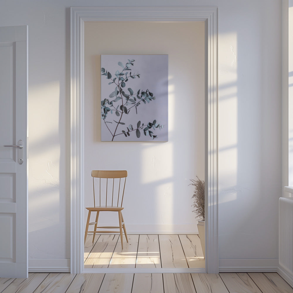 Eucalyptus 13 | Canvas