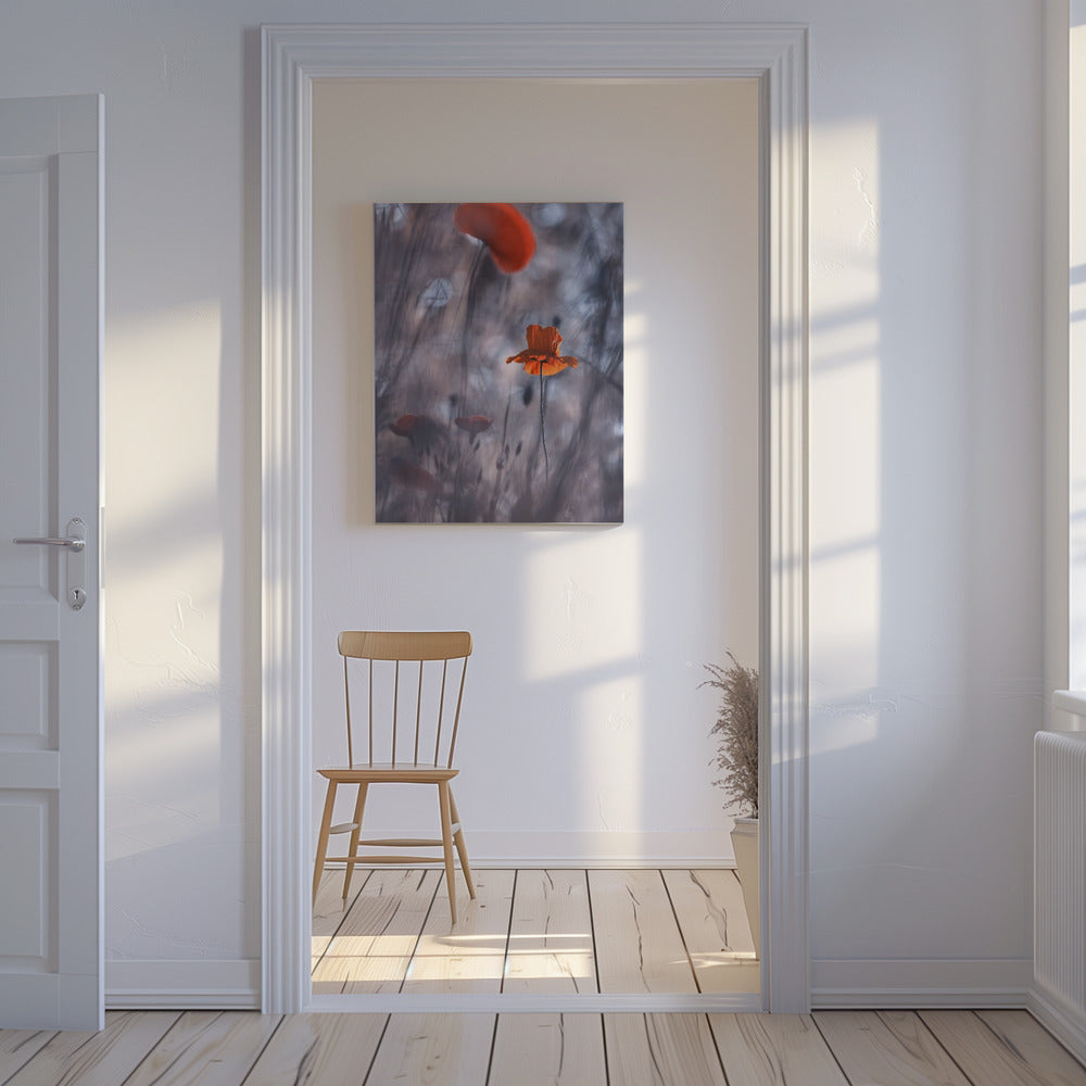 Verlangens en passies | Canvas