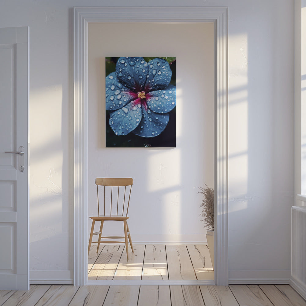 Regendruppelbloesem | Canvas