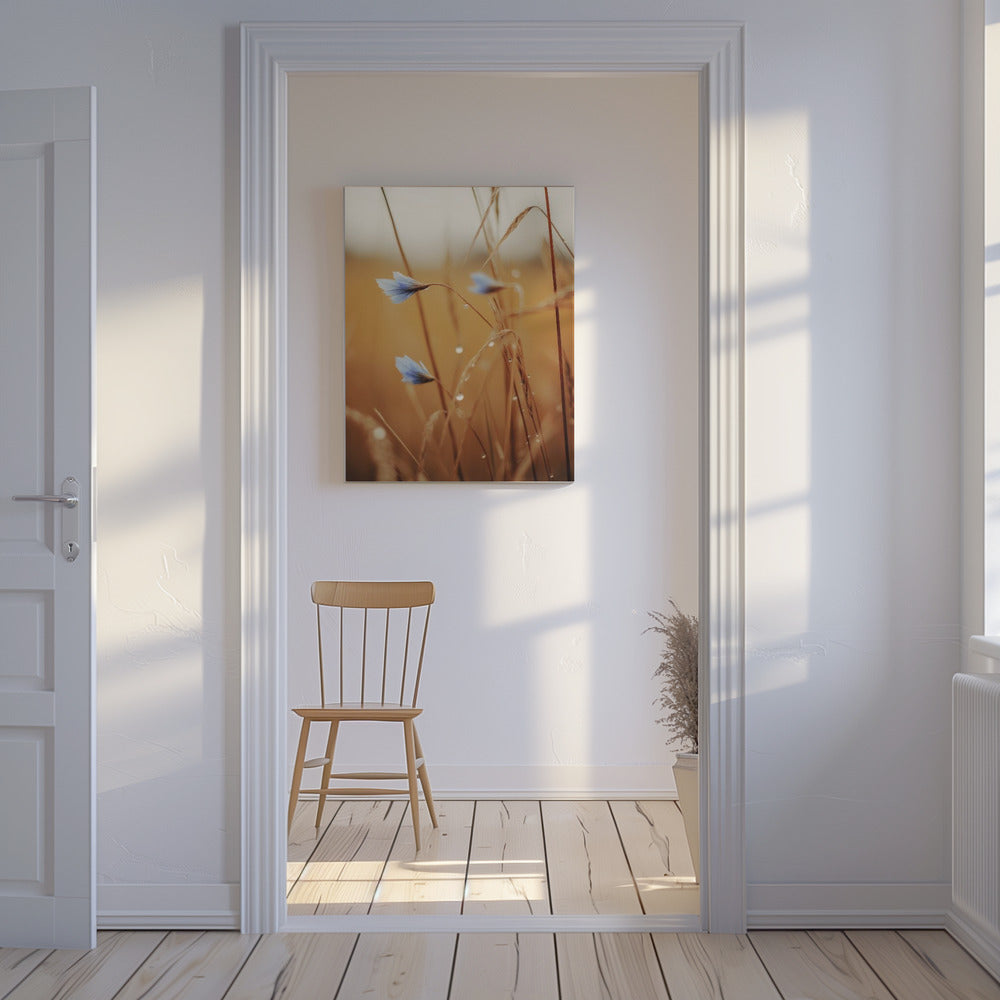 Blauwe bloemen bij zonsopgang | Canvas