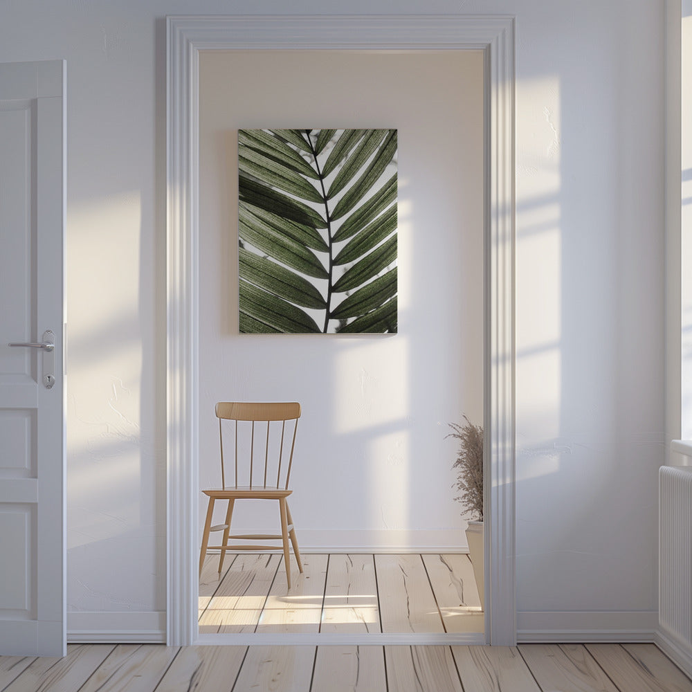 Palmbladeren 24 | Canvas