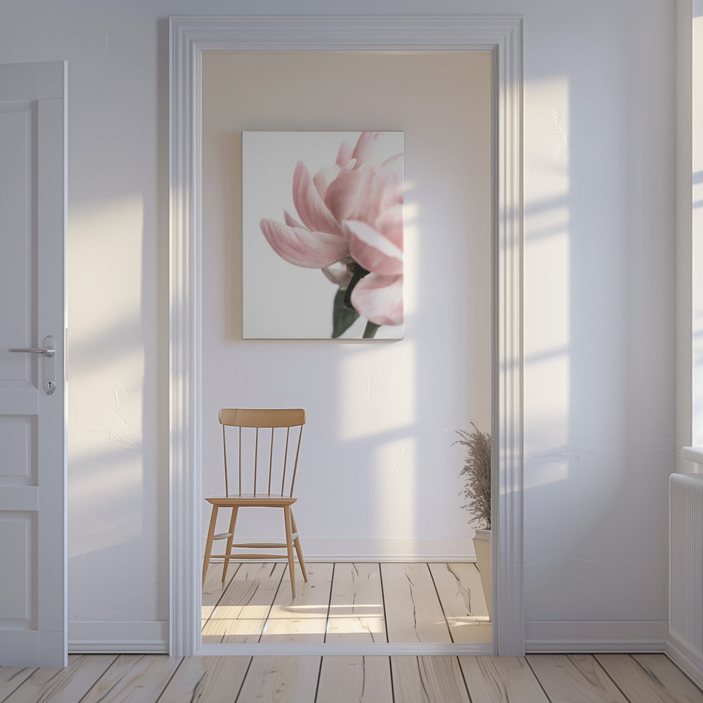 Pioenroos 2 | Canvas