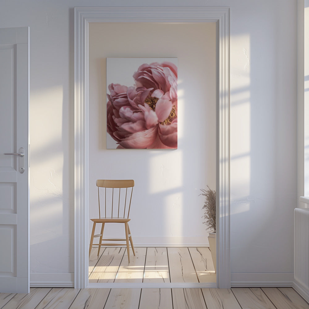 Pioenroos | Canvas
