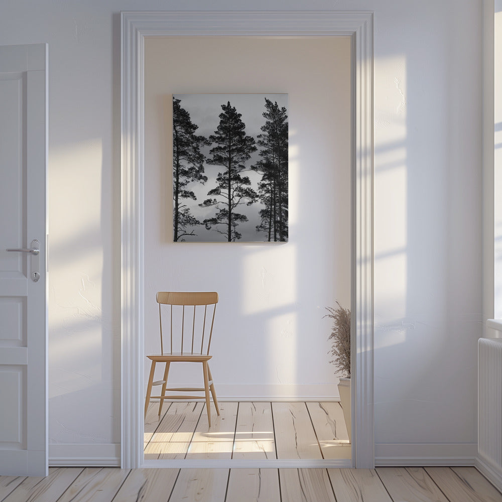 Zweedse bomen | Canvas