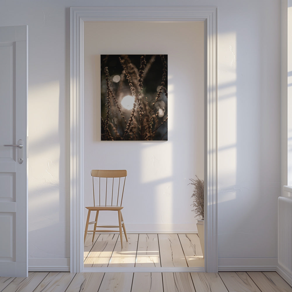 Natuurlijke Sparkle 2 | Canvas