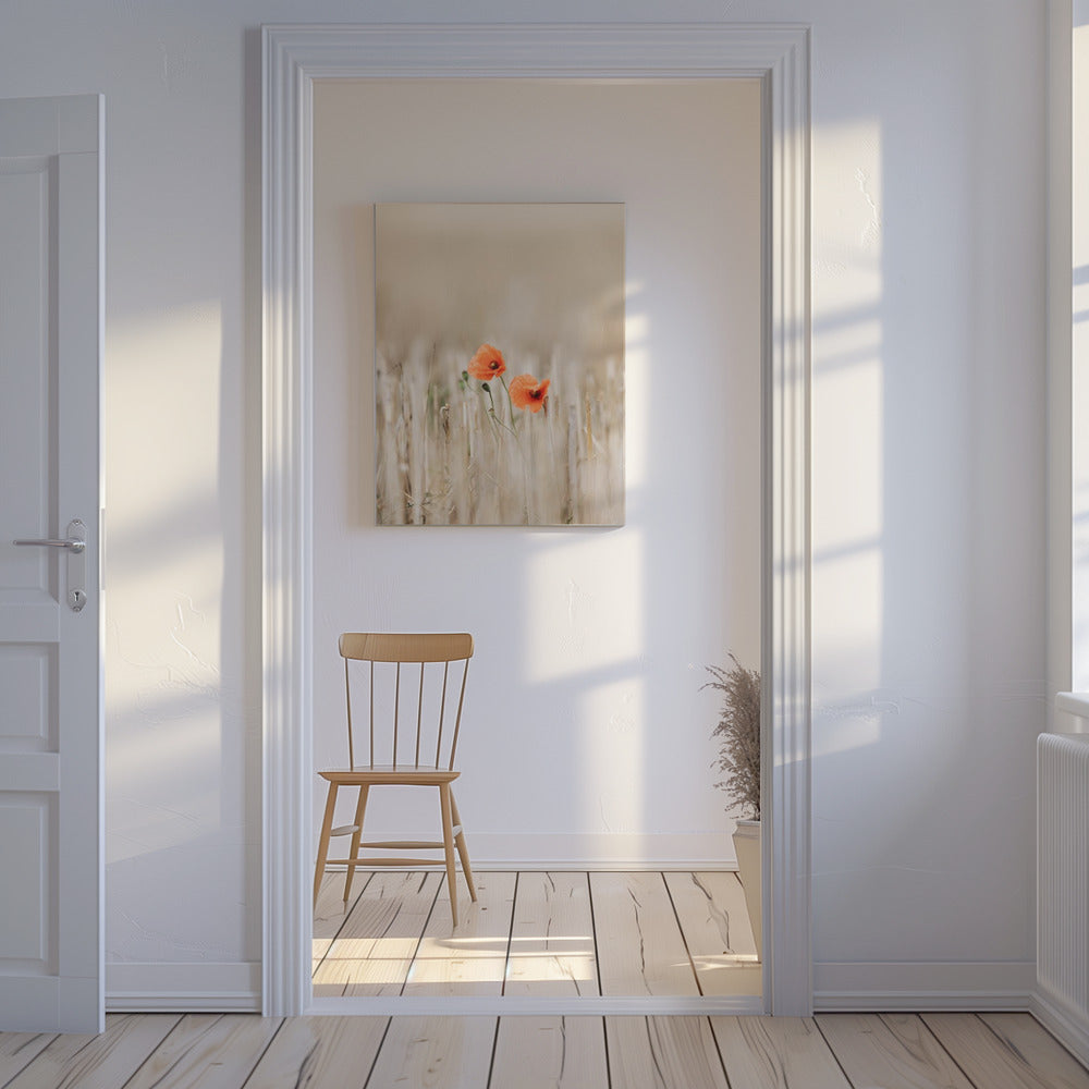 Zomerklaprozen | Canvas