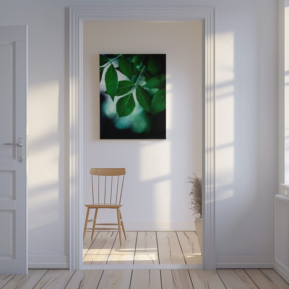 Donkere bladeren 14 | Canvas