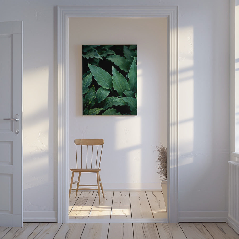 Donkere bladeren 15 | Canvas