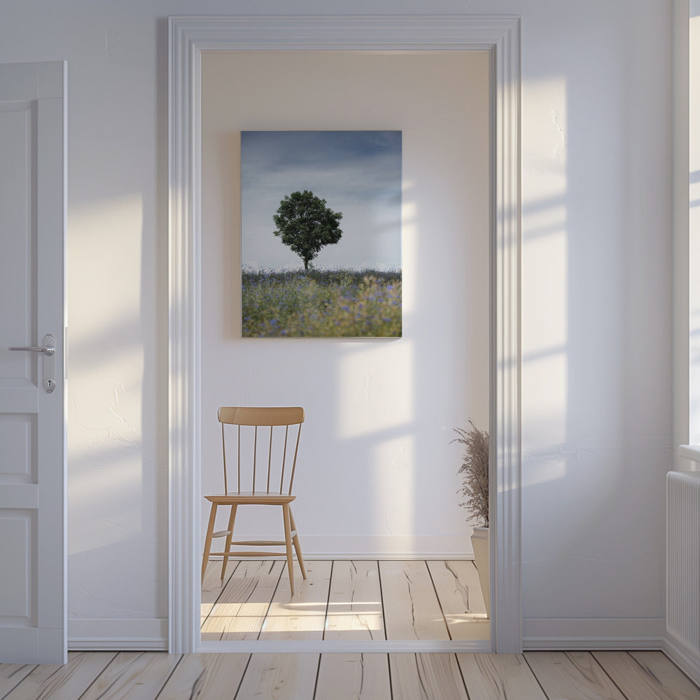 Summer Meadow | Canvas
