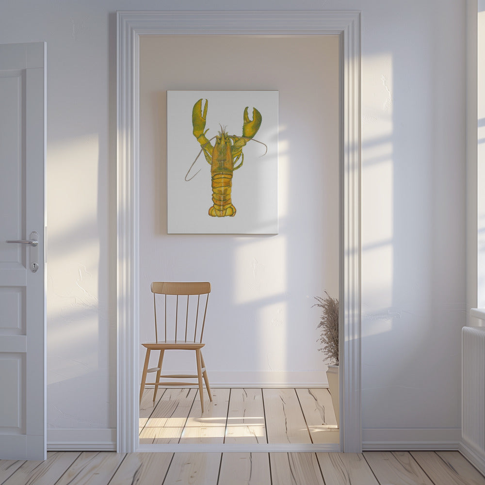 Kreeft | Canvas