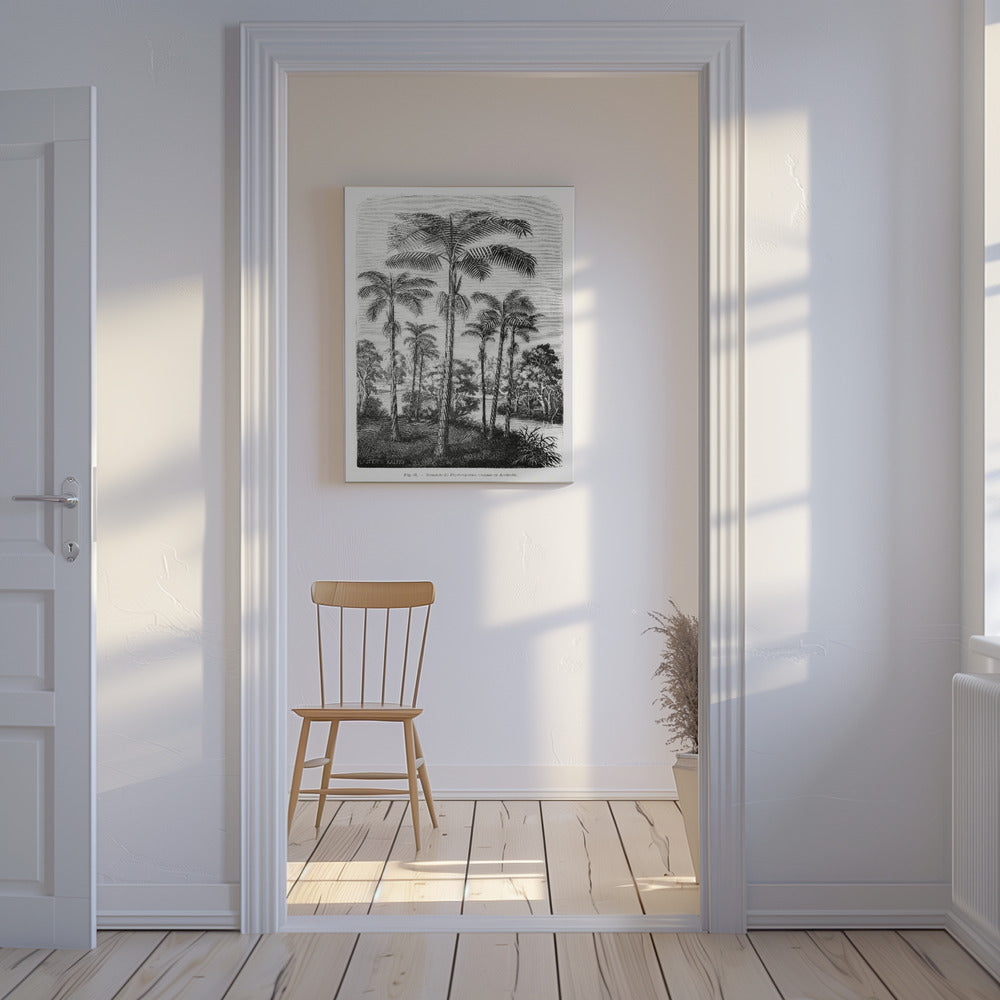 Vintage palmboom tekening II | Canvas
