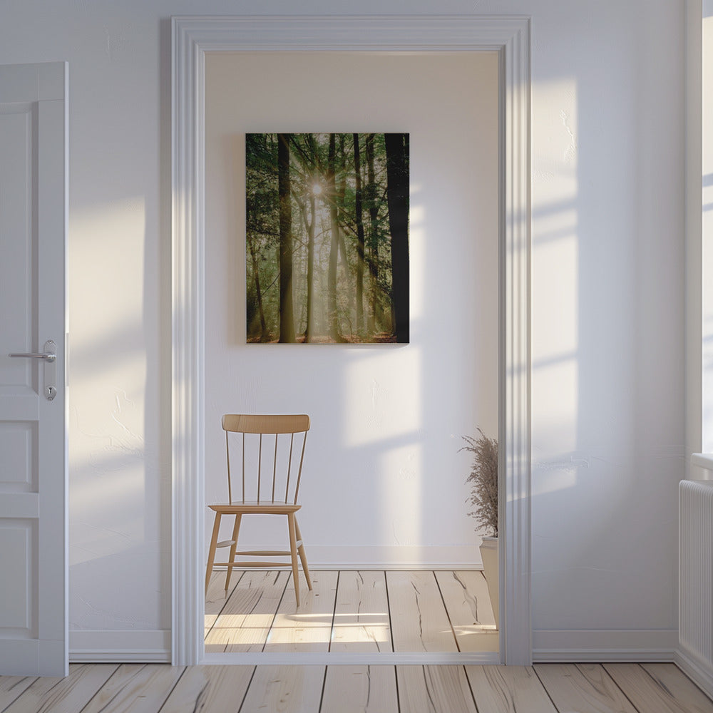 Sunbeams through the forest | Canvas
