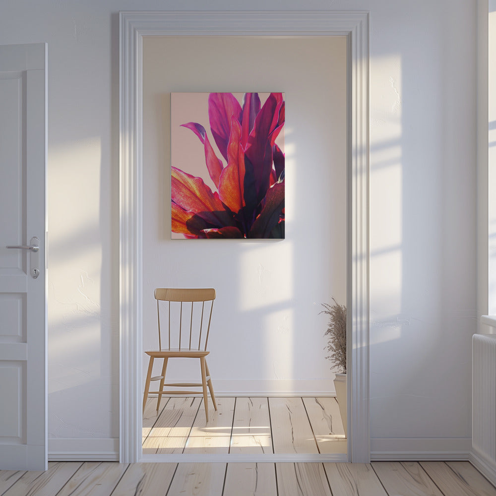 Fuchsia Bladeren II | Canvas