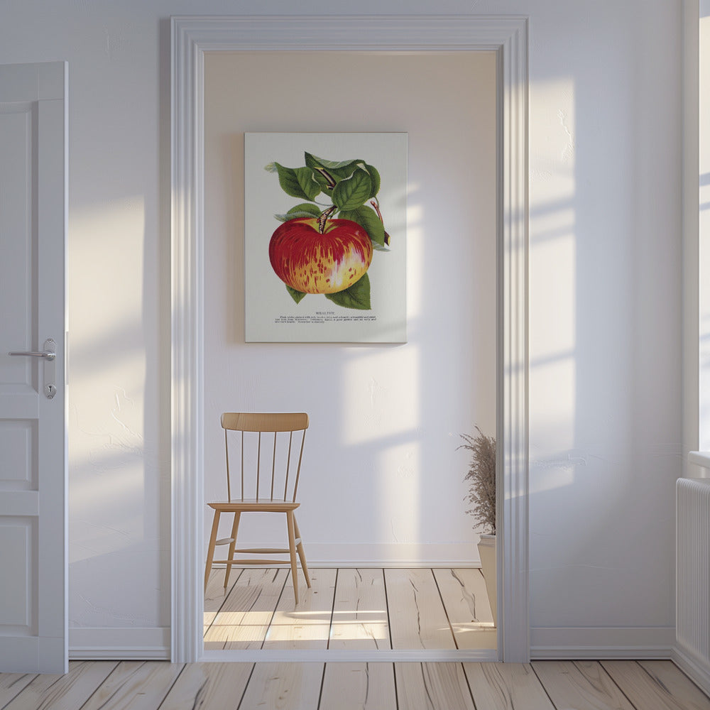 Rijke appellithografie | Canvas