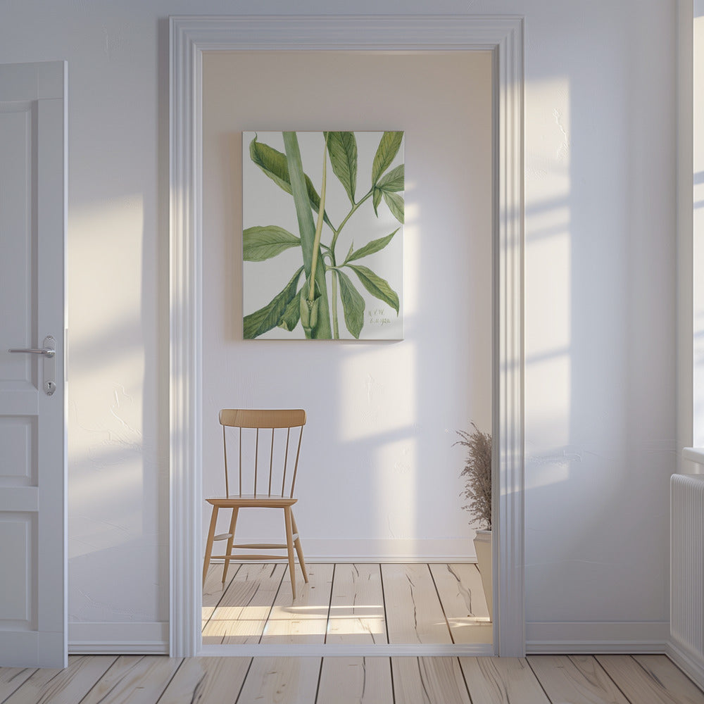 Groene Draak (1920) | Canvas