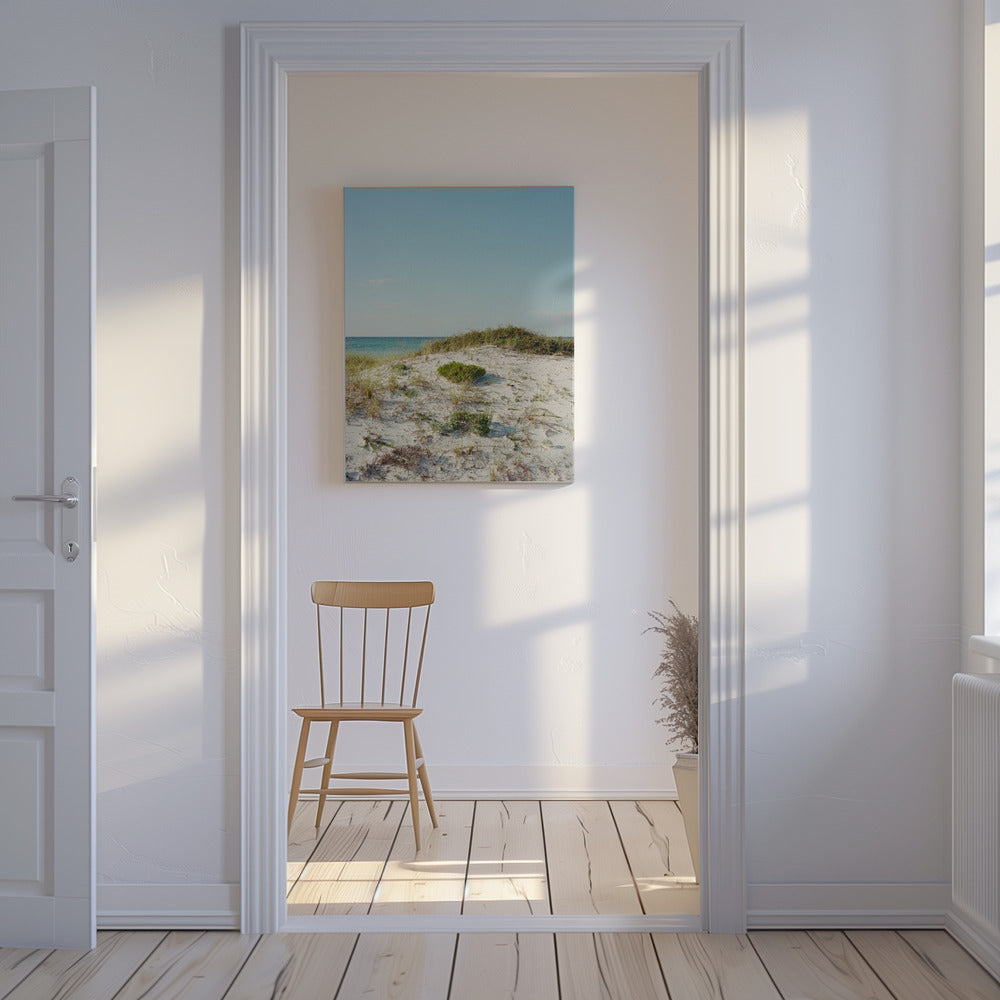 30a Duinen II | Canvas