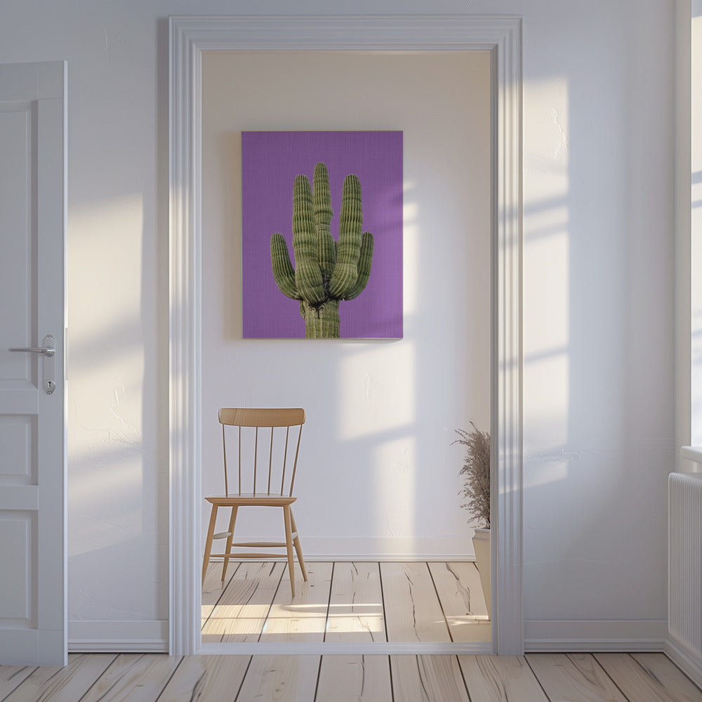 Paarse Cactus | Canvas