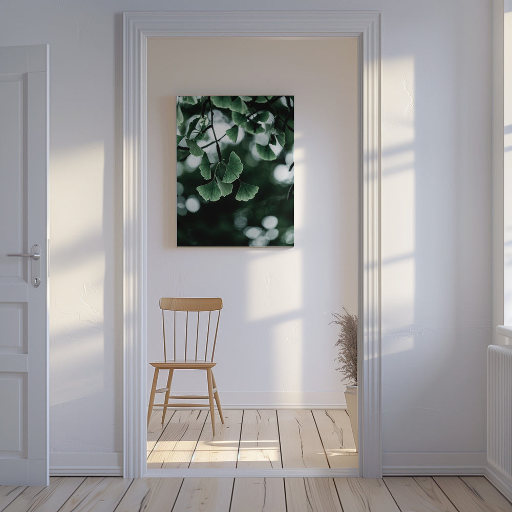 Ginko 1 | Canvas