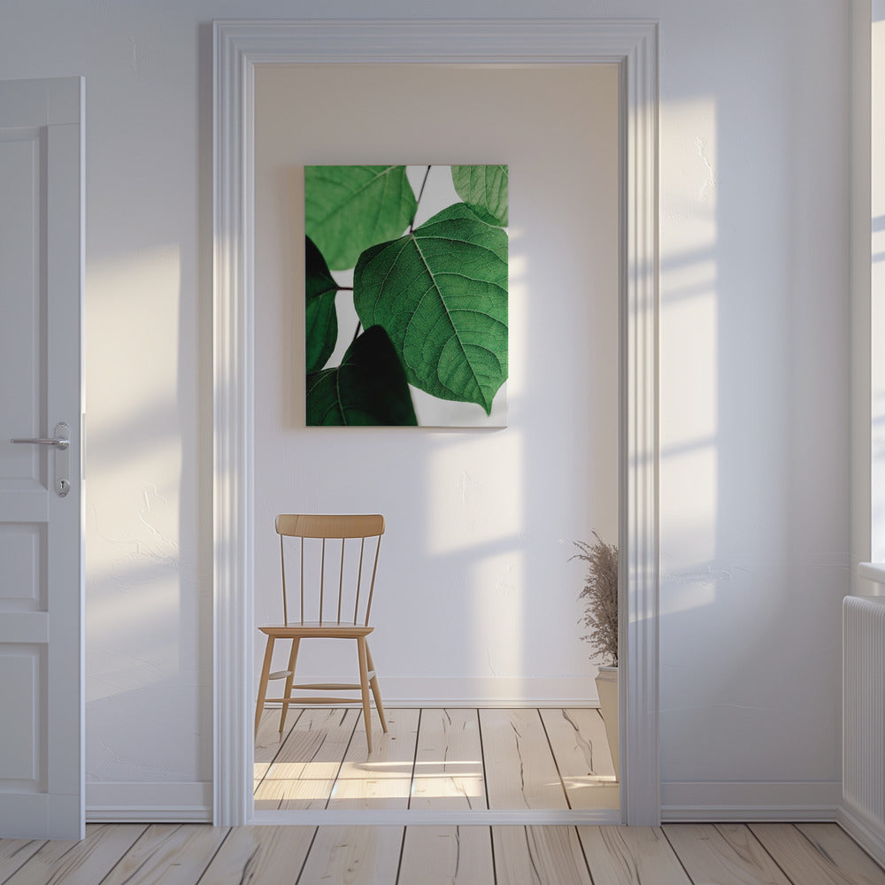 Zomertakken 2 | Canvas