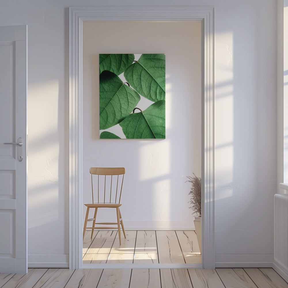 Zomertakken | Canvas