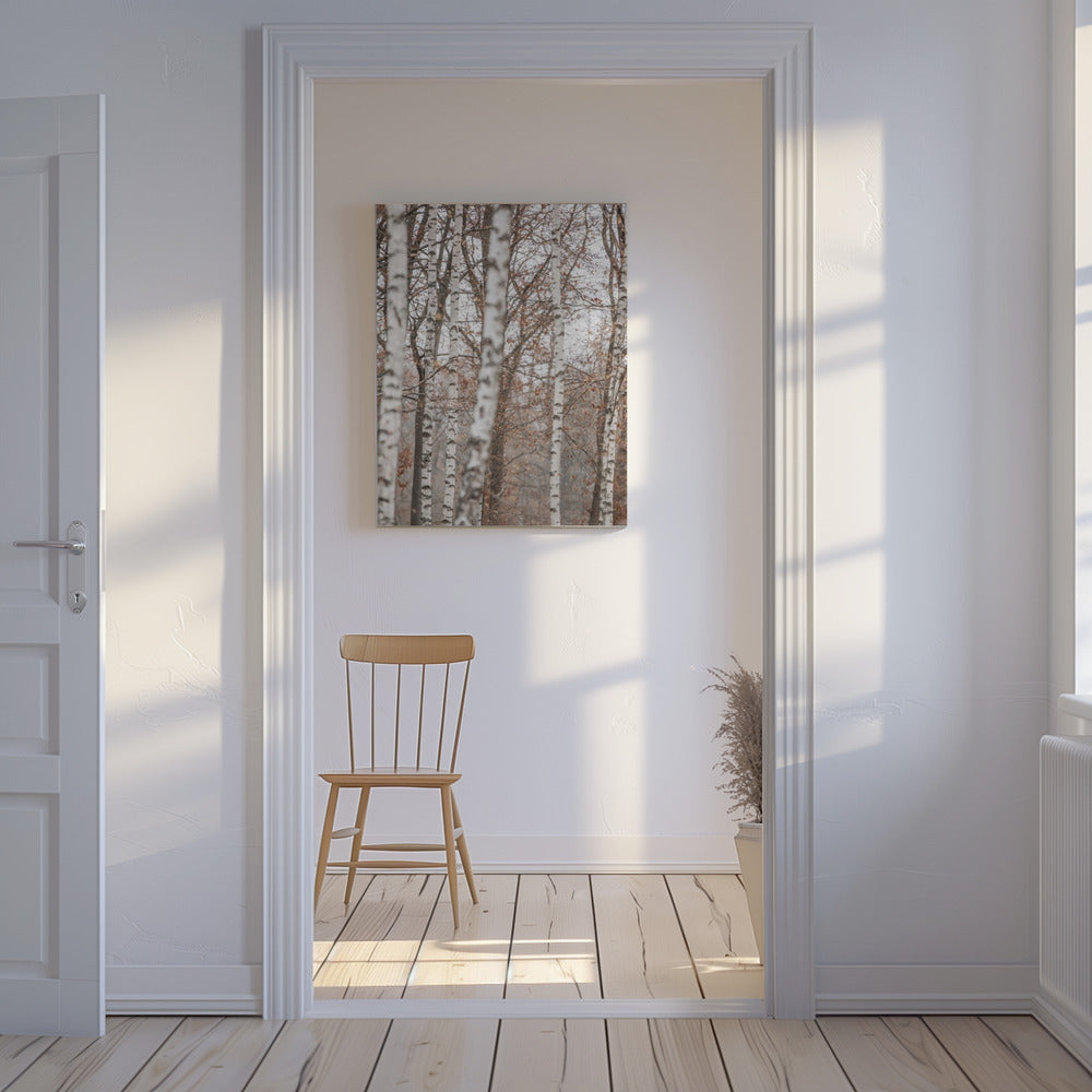 Berkenbomen 6 | Canvas