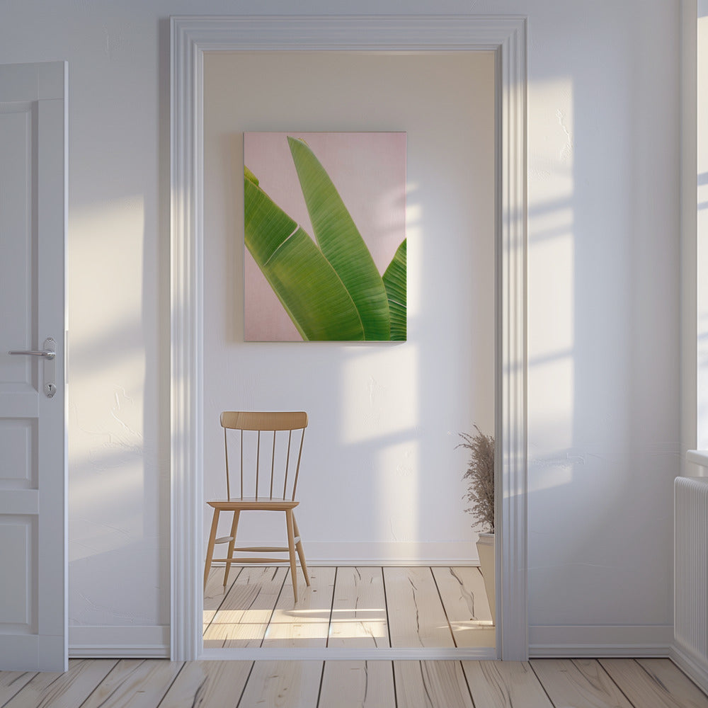 Merida Groen op Roze | Canvas