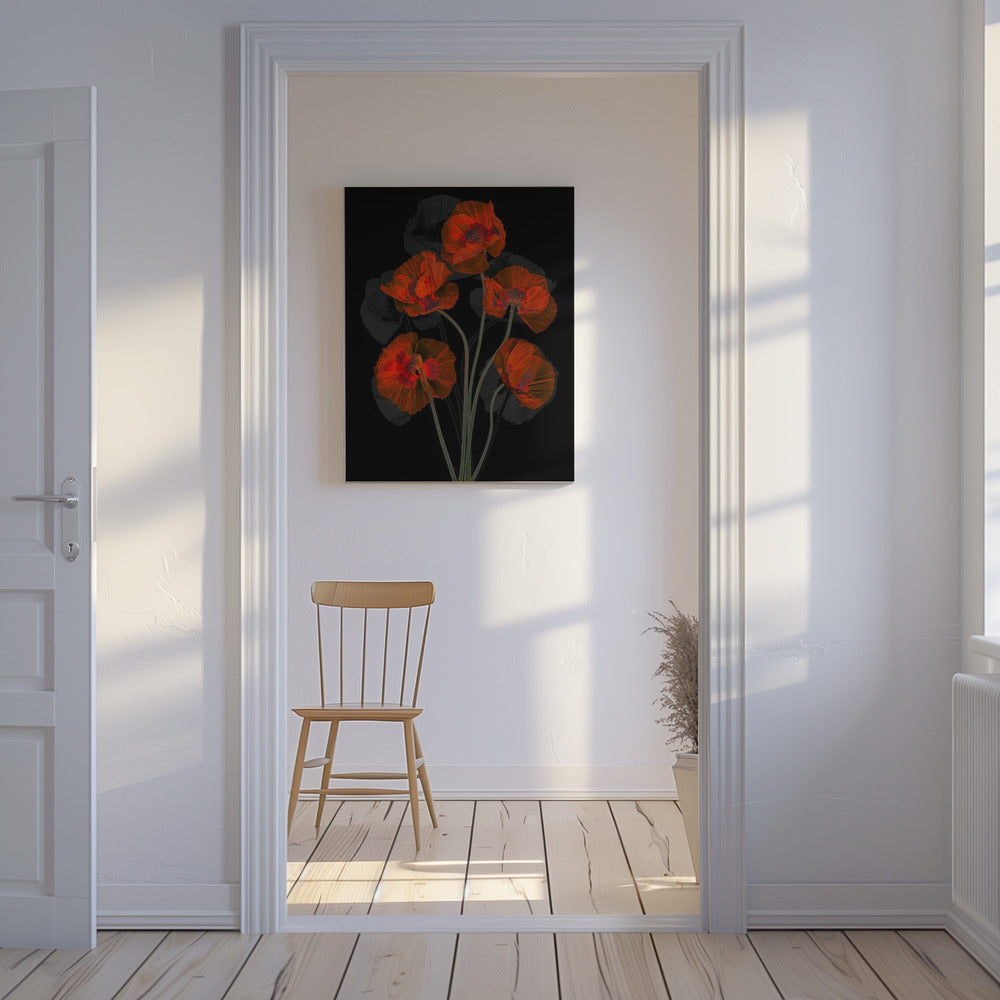 Glaceful Red Poppy | Canvas