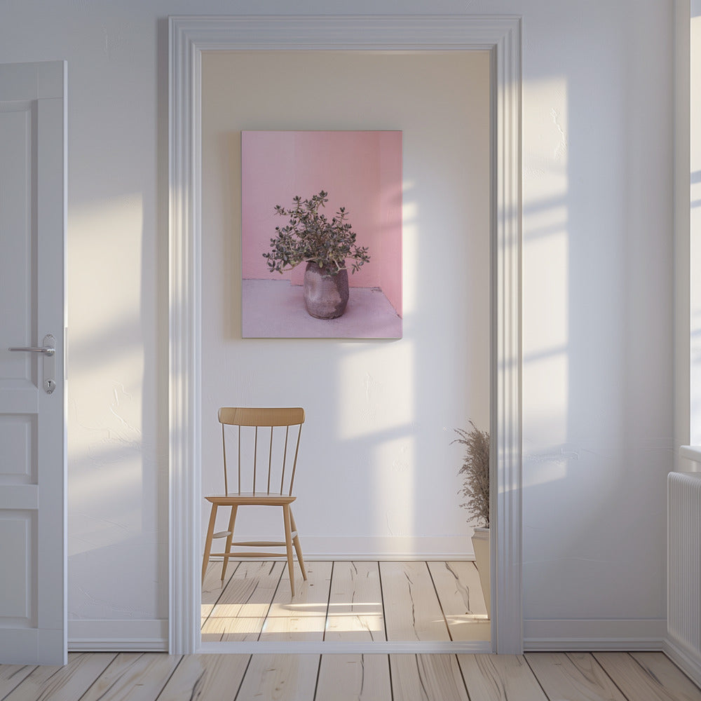 Spaanse rustieke succulent | Canvas